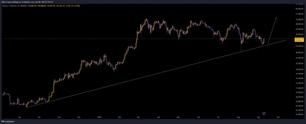 BTC price chart 10-9-2024