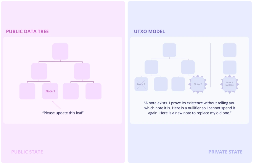 public vs private state . data tree and UTXO model
