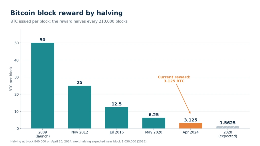 Bitcoin block reward by halving, from 50 BTC in 2009 to 3.125 BTC in 2024